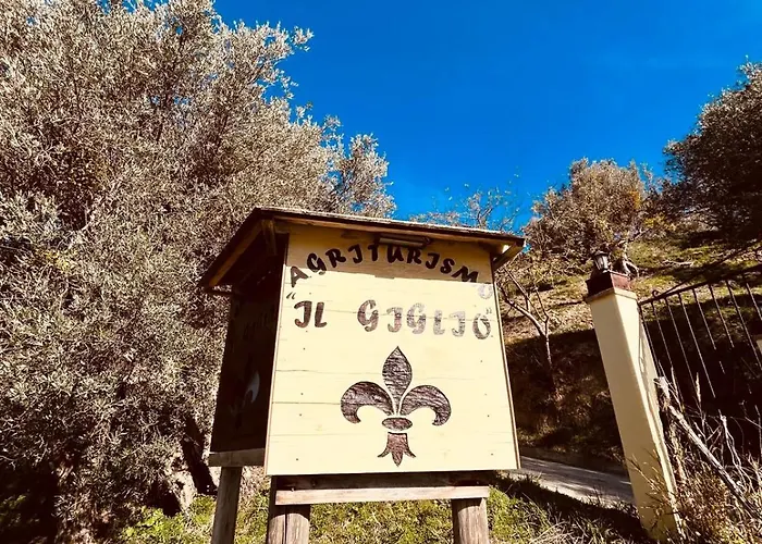 Il Giglio