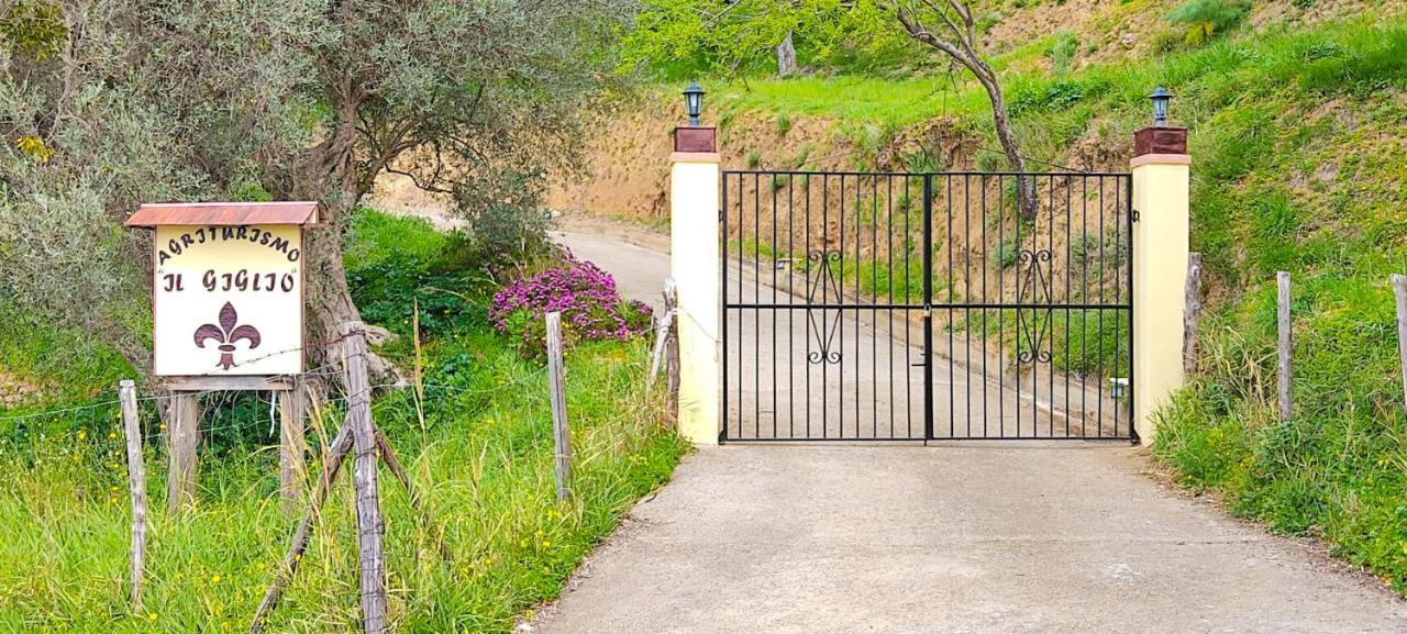 Il Giglio Farm stay Pettineo