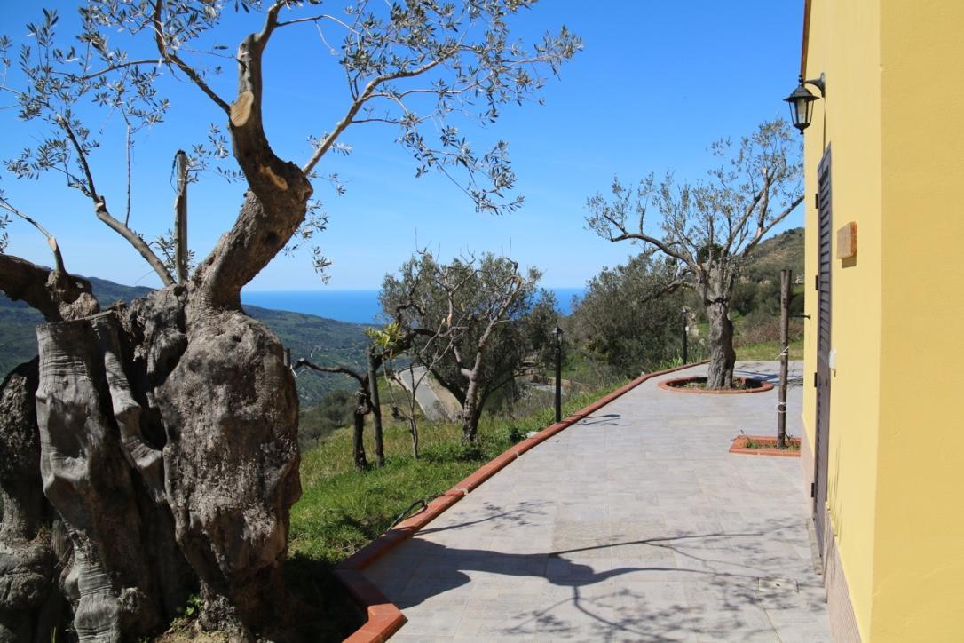 Farm stay Il Giglio *