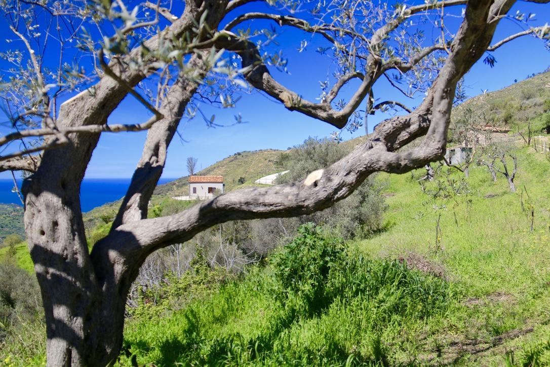 Il Giglio Bauernhof