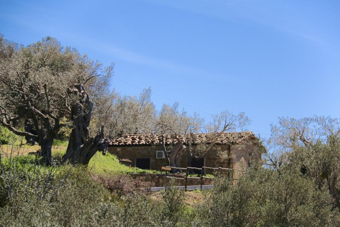 Farm stay Il Giglio *